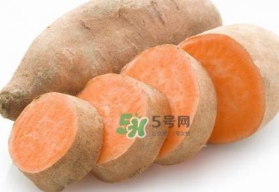 地瓜有哪些做法?地瓜跟红薯有区别吗