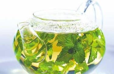 薄荷叶有哪些功效?薄荷叶的功效与作用 薄荷叶有哪些功效?薄荷叶的功效与作用