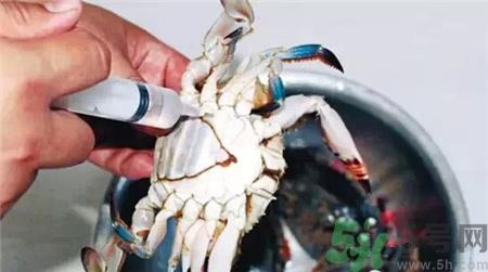 螃蟹针眼是怎么回事?螃蟹身上有针眼能吃吗?