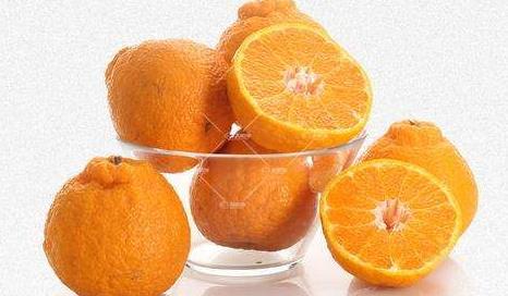 耙耙柑可以和牛奶一起吃吗?耙耙柑和牛奶一起吃的坏处 耙耙柑可以和牛奶一起吃吗?耙耙柑和牛奶一起吃的坏处