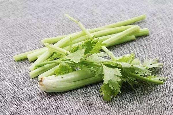 什么是负卡路里食物 长期使用负卡路里食物有害吗