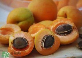 新鲜杏子怎么吃？新鲜杏子孕妇能吃吗？