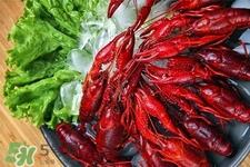 虾尾是死了的小龙虾吗?虾尾和小龙虾的区别 虾尾是死了的小龙虾吗?虾尾和小龙虾的区别