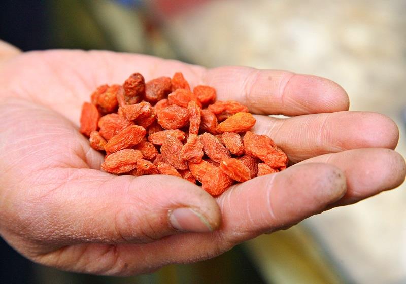 枸杞越大越好吗 这样挑选不会错
