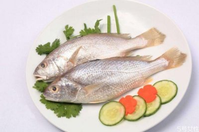 ​什么是白姑鱼呢 白姑鱼有什么营养价值呢