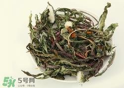 蒲公英怎么保存?新鲜蒲公英怎样保存?