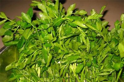 ​水芹菜有寄生虫吗 水芹菜有寄生虫怎么办