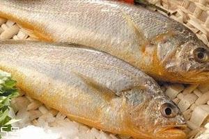 小黄鱼怎么解冻 解冻小黄鱼技巧