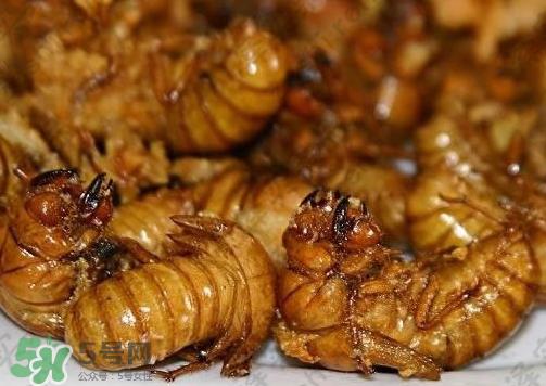 知了猴可以和鸡蛋一起吃吗？知了和鸡蛋可以一起吃吗？