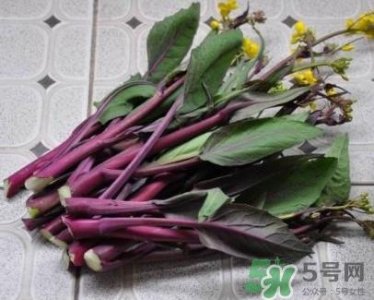 ​红菜苔怎么处理?红菜苔怎么做好吃