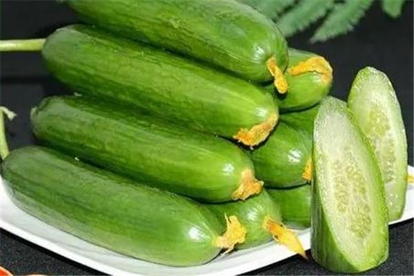 水果黄瓜孕妇可以生吃吗 水果黄瓜孕妇吃的好处