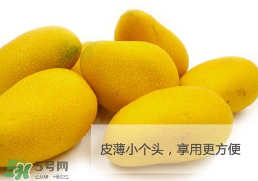 台农芒果多少钱一斤？台农芒果为什么叫台农芒果