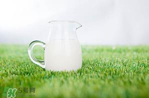 香椿可以和牛奶一起吃吗?香椿和牛奶能一起吃吗? 香椿可以和牛奶一起吃吗?香椿和牛奶能一起吃吗?