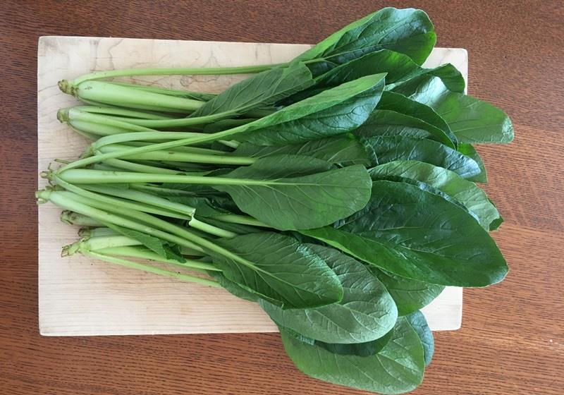 小松菜是什么菜 小松菜怎么保存与挑选 小松菜是什么菜 小松菜怎么保存与挑选