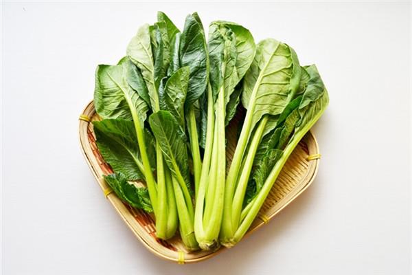 小松菜是什么菜 小松菜怎么保存与挑选 小松菜是什么菜 小松菜怎么保存与挑选