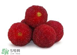 杨梅放冰箱能放几天?杨梅可以放冰箱吗? 杨梅放冰箱能放几天?杨梅可以放冰箱吗?