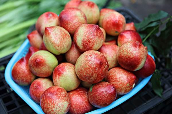 油桃可做罐头吗 油桃的吃法 油桃可做罐头吗 油桃的吃法