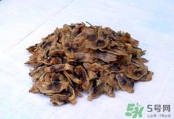 蛏干是什么?蛏干的营养价值和功效 蛏干是什么?蛏干的营养价值和功效