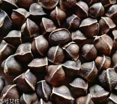 辣木籽哪里产的好？哪里的辣木籽最好？