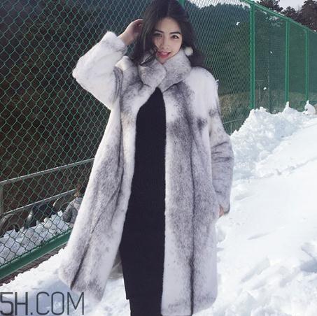 十字貂什么颜色最贵?十字貂价格 十字貂什么颜色最贵?十字貂价格