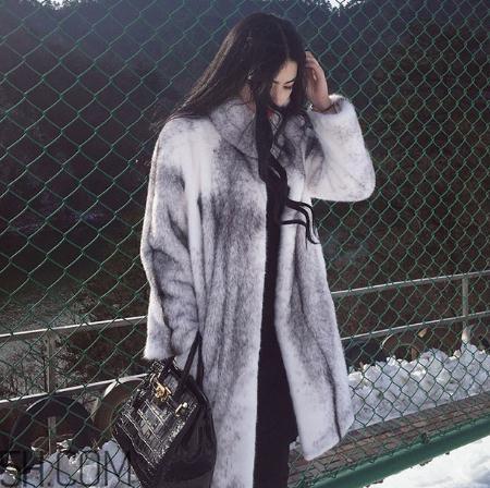 十字貂什么颜色最贵?十字貂价格 十字貂什么颜色最贵?十字貂价格