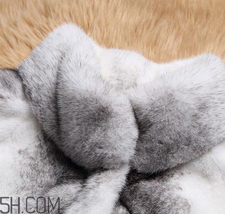 十字貂什么颜色最贵?十字貂价格 十字貂什么颜色最贵?十字貂价格