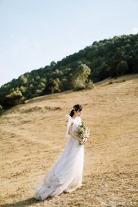 ​草在结它的种子