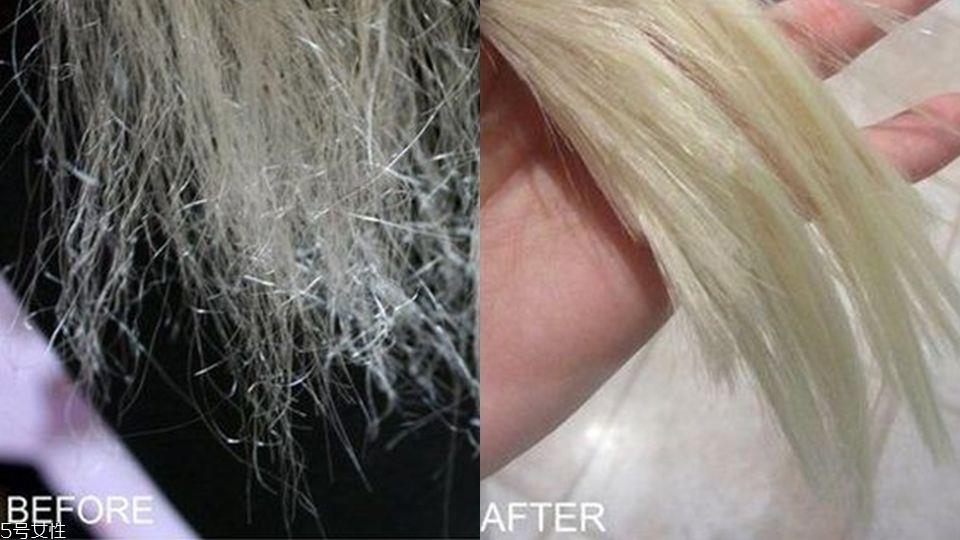 椰子油护发前要洗发吗 椰子油在头上停留多久 椰子油护发前要洗发吗 椰子油在头上停留多久