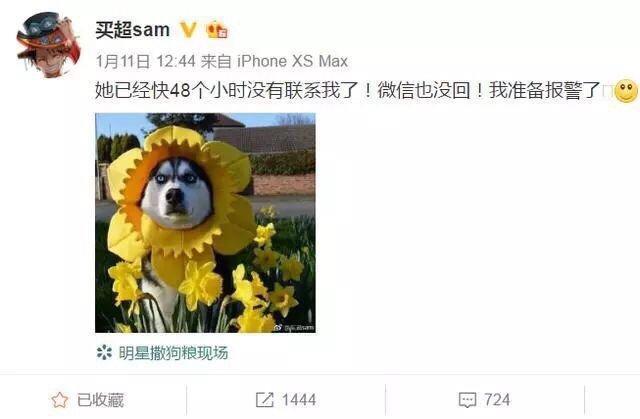 买超为何爱张嘉倪?张嘉倪有自我有人生,离开谁都能活