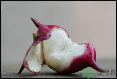 菱角有什么功效?菱角的功效是什么?