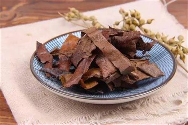 枇杷叶对胃部有刺激吗 枇杷叶能治胃病吗 枇杷叶对胃部有刺激吗 枇杷叶能治胃病吗