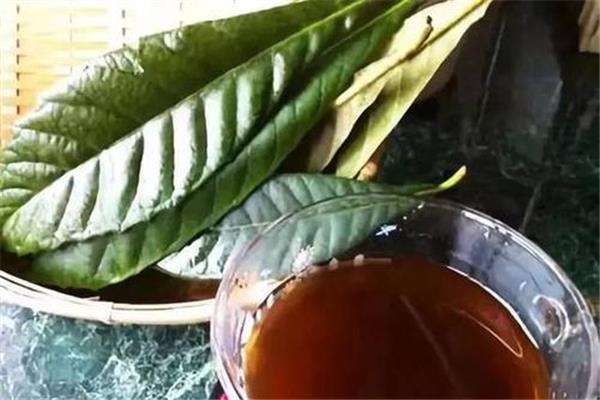 枇杷叶对胃部有刺激吗 枇杷叶能治胃病吗 枇杷叶对胃部有刺激吗 枇杷叶能治胃病吗