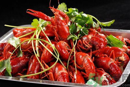 小龙虾什么时候上市?小龙虾什么时候吃最好? 小龙虾什么时候上市?小龙虾什么时候吃最好?