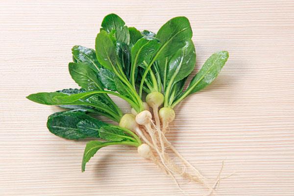 1464231295661839.jpg 10323001566.jpg