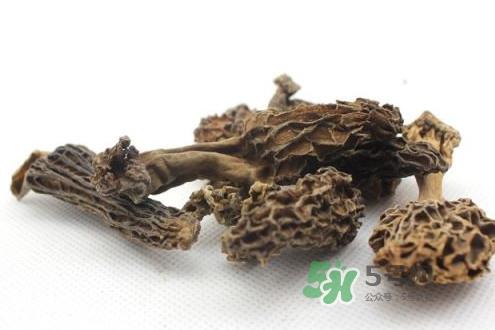 羊肚菌能治什么病?羊肚菌能冷冻保鲜吗 羊肚菌能治什么病?羊肚菌能冷冻保鲜吗