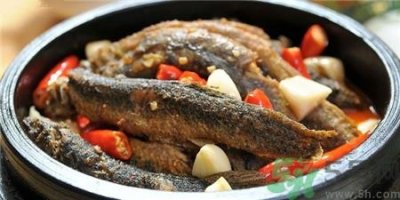 ​泥鳅杀好能冷冻吗?活泥鳅怎么保存?