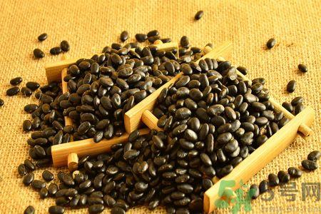 黑豆黑豆芽 黑豆黑豆芽