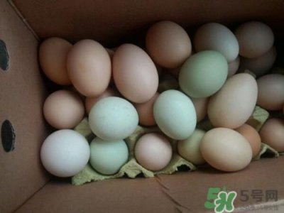 ​绿皮鸡蛋是什么鸡下的?绿皮鸡蛋的营养价值