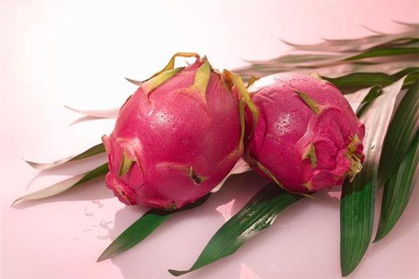 火龙果降血压吗 火龙果降血压效果好吗 火龙果降血压吗 火龙果降血压效果好吗