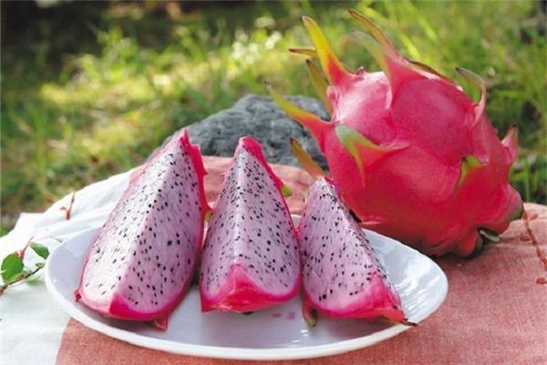 火龙果降血压吗 火龙果降血压效果好吗 火龙果降血压吗 火龙果降血压效果好吗