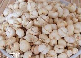 川贝母的热量 川贝母会不会让人长胖