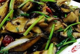 香菜可以和香菇一起吃吗?香菜能和香菇同吃吗?