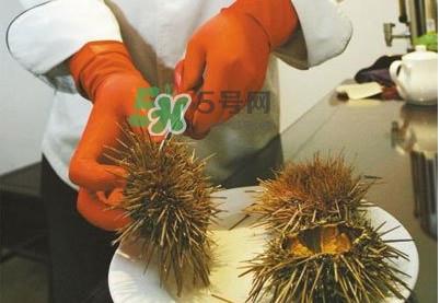 海胆是发物吗？海胆是寒性的吗