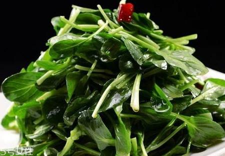 鸡毛菜不能和什么一起吃 鸡毛菜相克食物