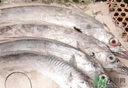 带鱼不能和什么一起吃?带鱼不能和什么同吃? 带鱼不能和什么一起吃?带鱼不能和什么同吃?