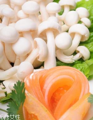 白玉菇和金针菇的区别 白玉菇是金针菇吗？