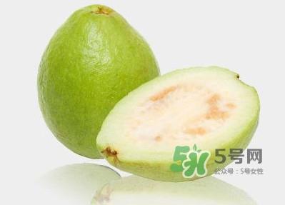 芭乐一天吃几个好?芭乐怎样才算熟了 芭乐一天吃几个好?芭乐怎样才算熟了