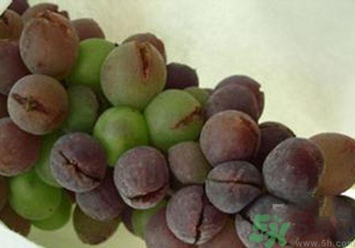 葡萄是几月份的水果?葡萄什么时候上市? 葡萄是几月份的水果?葡萄什么时候上市?