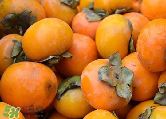 懒柿子几月熟？哪种柿子适合做懒柿子？