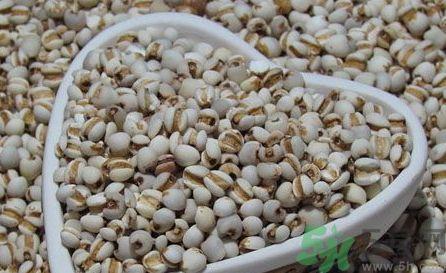 薏米是大粒的好还是小粒的好?